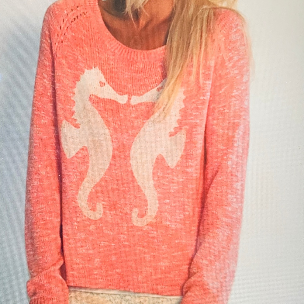 BROKEDOWN KISSING SEAHORSE SWEATER, CORAL, XS